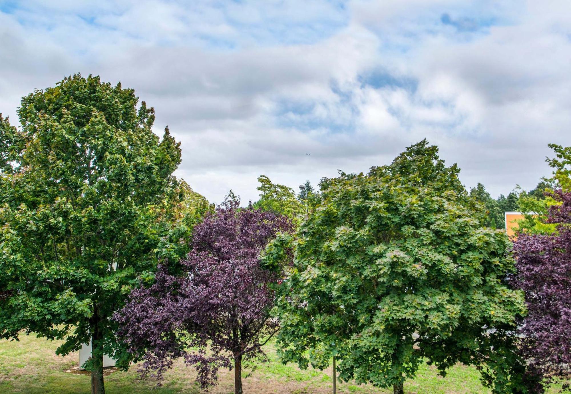 B&B Hotel Nantes Parc Expos La Chapelle エクステリア 写真